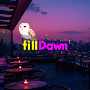 TillDawn的专辑Snack Bird
