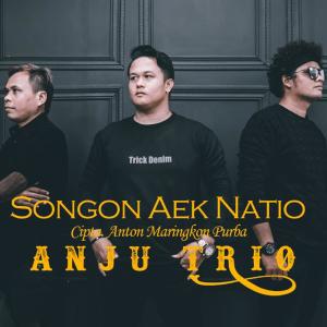 Album Songon Aek Natio oleh Anju Trio