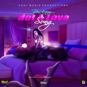 ดาวน์โหลดและฟังเพลง Not a Love Song พร้อมเนื้อเพลงจาก Buckam