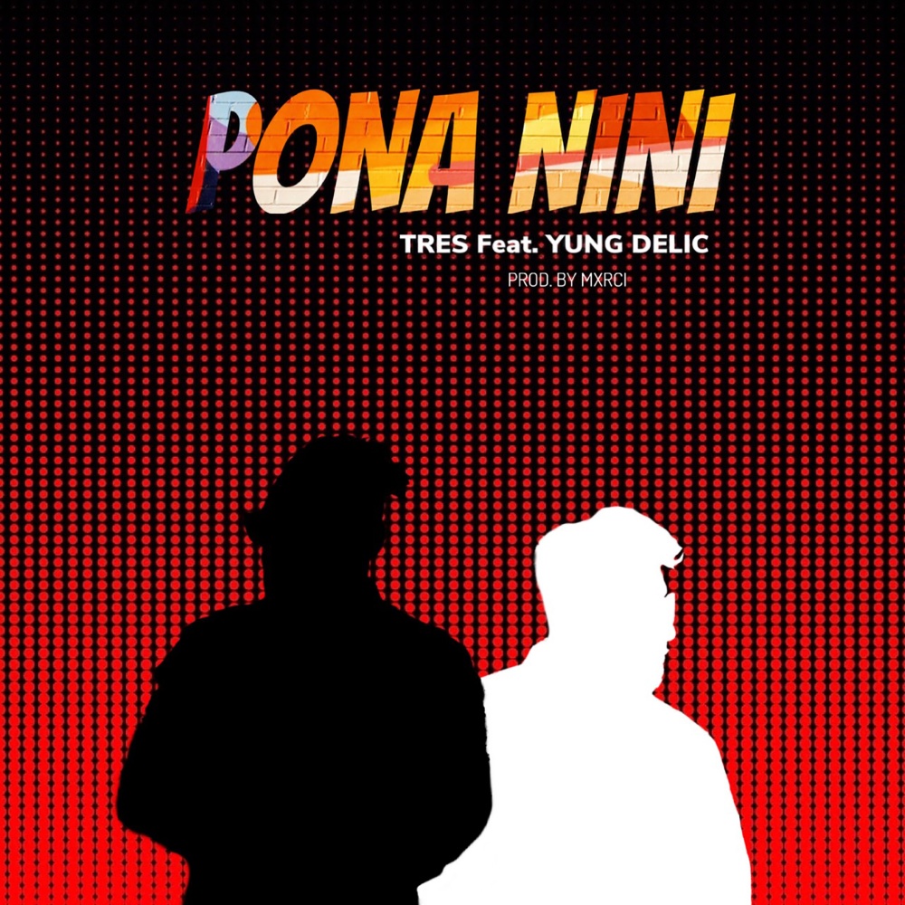 Pona Nini