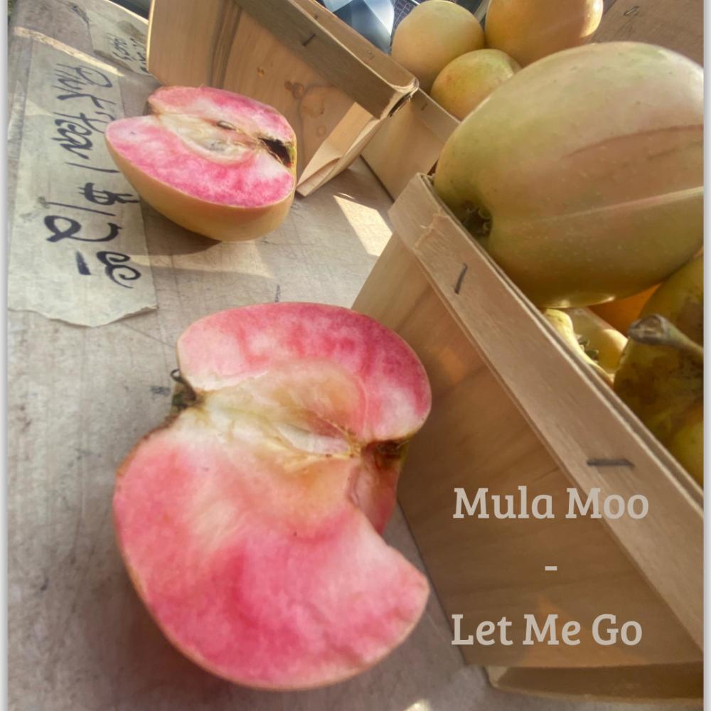Let Me Go