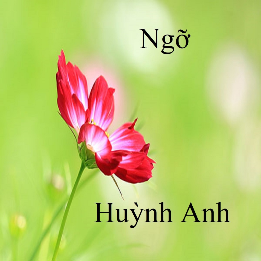 Ngỡ 1