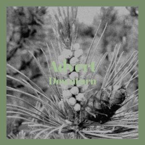 收听Levon Alit的Reproducing Ried歌词歌曲