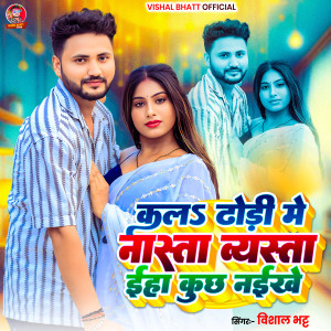 Album KALA DHORI ME NASTA BEWSTHA EHA KUCH NAIKHE from Vishal Bhatt