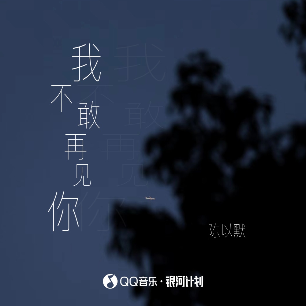 我不敢再见你 (伴奏)