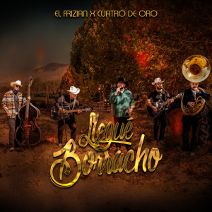 Listen to Llegué Borracho song with lyrics from El Frizian