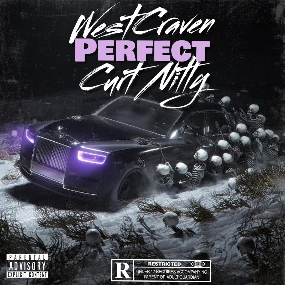 Perfect (feat. Curt Nitty) (Explicit)