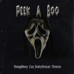 ดาวน์โหลดและฟังเพลง Peek A Boo (Explicit) พร้อมเนื้อเพลงจาก DoughBoy Zay