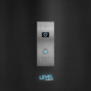 ดาวน์โหลดและฟังเพลง Level พร้อมเนื้อเพลงจาก Malli