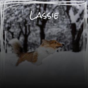Listen to Achar Testimonials song with lyrics from Timoy Glan
