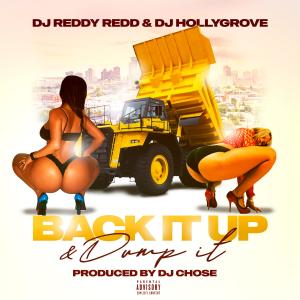 DJ Hollygrove的專輯Back It Up & Dump It (Explicit)