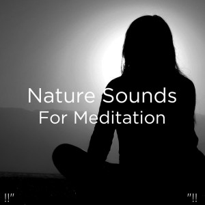 ดาวน์โหลดและฟังเพลง Water Sounds For Sleep พร้อมเนื้อเพลงจาก Nature Sounds