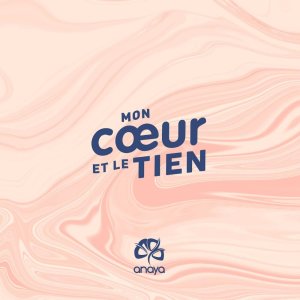 Listen to Le voile se relève song with lyrics from Anayagroup