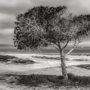 Listen to Quantum Soup song with lyrics from Mindfulness Mediation World