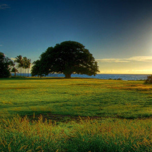 收聽Yoga Music的Creativity歌詞歌曲