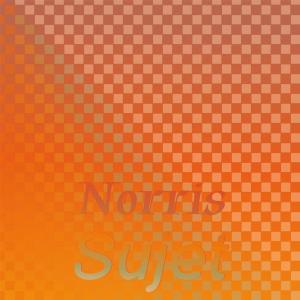 Various的专辑Norris Sujet