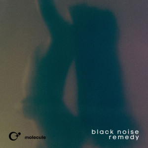 Listen to Black Noise Adventure song with lyrics from Molecule