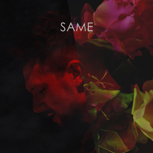 ดาวน์โหลดและฟังเพลง Same พร้อมเนื้อเพลงจาก Alfie Arcuri