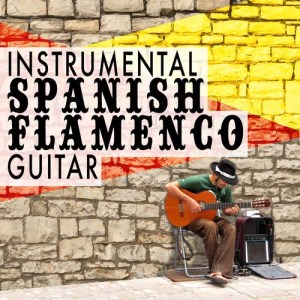 Instrumental Guitar Masters的專輯Instrumental Spanish Flamenco Guitar