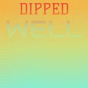 Various Artists的專輯Dipped Well