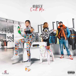 Dengarkan Bref (Explicit) lagu dari Len（欧美） dengan lirik