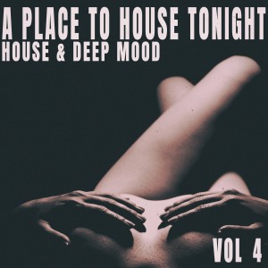A Place to House Tonight, Vol. 4 dari Various