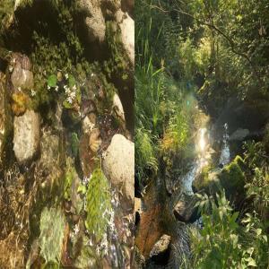 Dengarkan 4U lagu dari Fifty dengan lirik