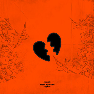 Album Break My Heart (Again) from 