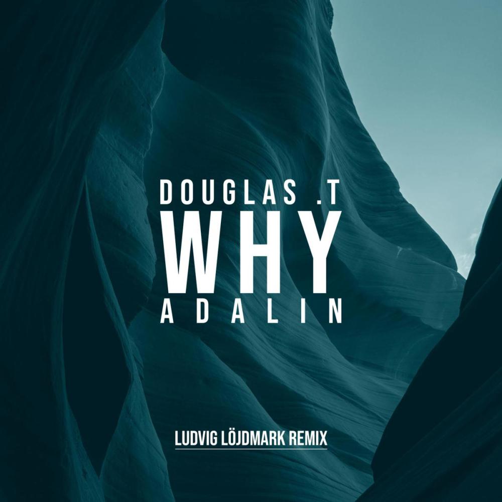 Why (Ludvig Löjdmark Remix)