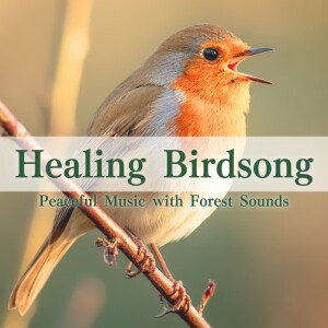 Album Healing Birdsong: Peaceful Music with Forest Sounds from 寝落ちする自然音ヒーリング音楽