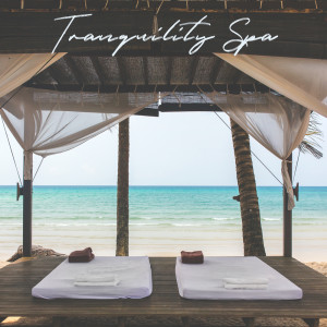 Dengarkan Tranquility Spa lagu dari Mindfulness Meditation Music Spa Maestro dengan lirik