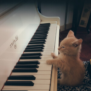 default playlist img