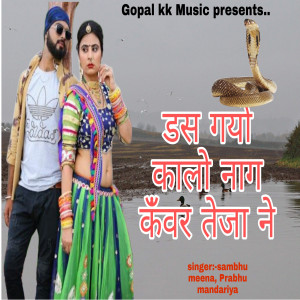Listen to डस गयो कालो नाग कँवर तेजा ने song with lyrics from Sambhu Meena