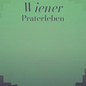 Listen to Wiener Praterleben song with lyrics from Jan Corduwener