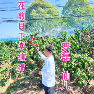 收听罗磊的花前月下共缠绵 (完整版)歌词歌曲