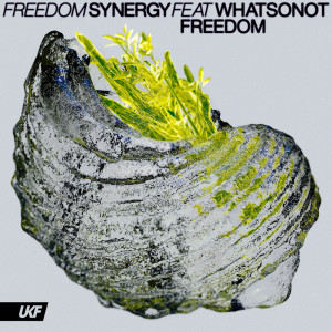 Dengarkan Freedom (ft. What So Not) lagu dari Synergy dengan lirik