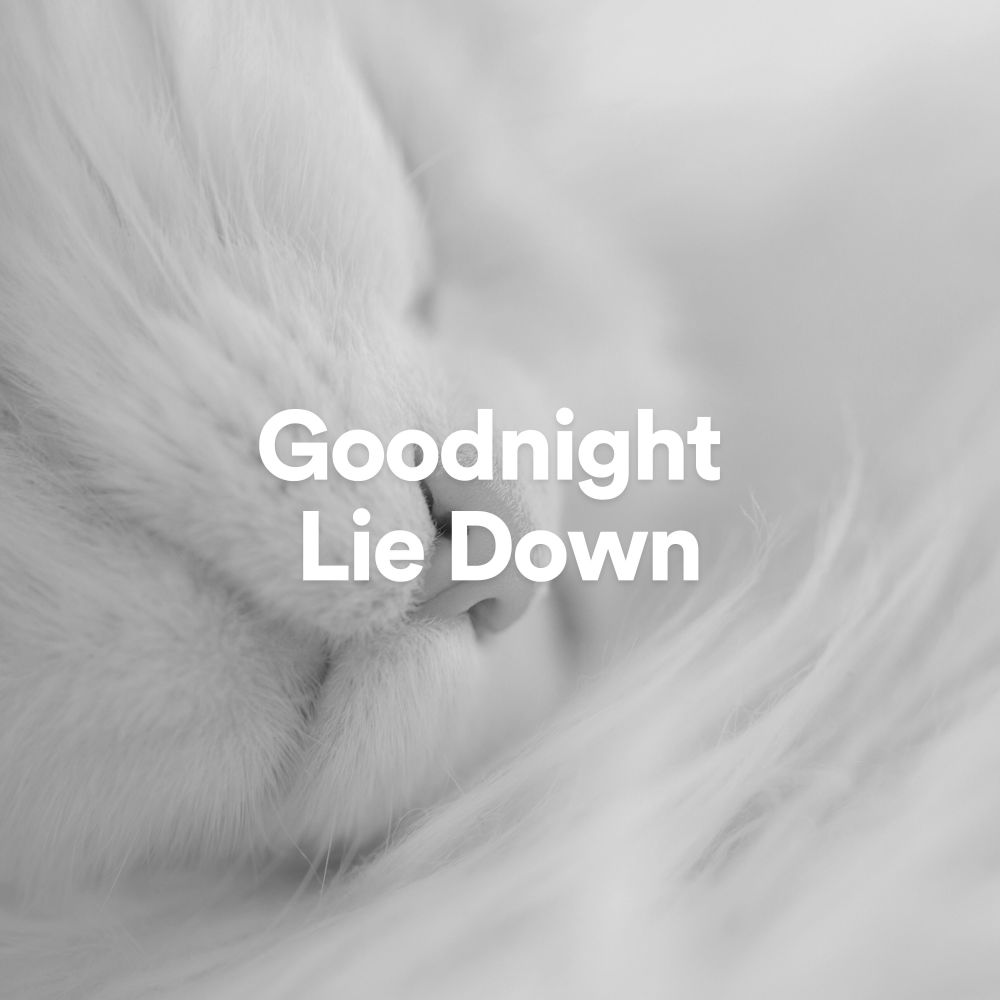 Goodnight Lie Down, Pt. 29