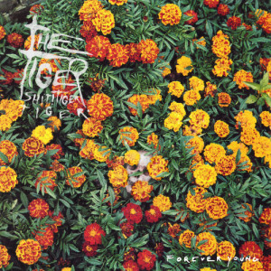 ดาวน์โหลดและฟังเพลง Forever Young พร้อมเนื้อเพลงจาก Tiger! Sh*t! Tiger! Tiger!