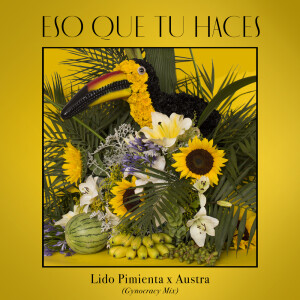 收听Lido Pimienta的Eso Que Tu Haces (Austra's Gynocracy Mix)歌词歌曲