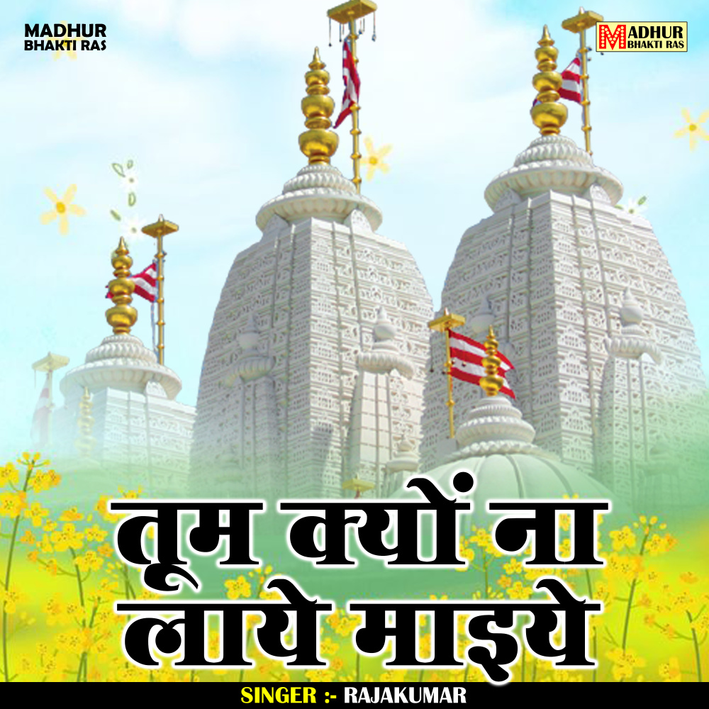 Tum Kyaen Na Laye Maiye (Hindi)