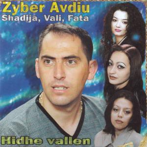Listen to Une te dua song with lyrics from Zyber Avdiu