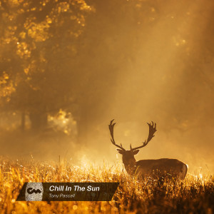 Tony Pascall的專輯Chill In The Sun