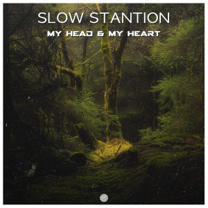 Listen to Astronaut in the Ocean song with lyrics from Slow Stantion