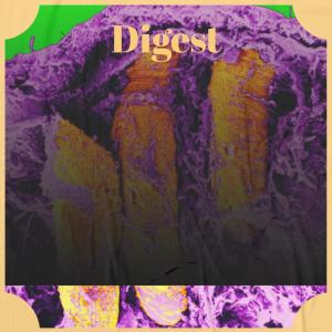 Listen to Lancaster song with lyrics from Jamy Dlin