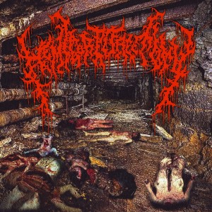 Listen to Decomposing Rape Victim song with lyrics from Hemicorporectomy