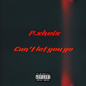 P.skeis的專輯Can't let you go