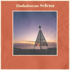 Album Zimbabwean Selena from Various