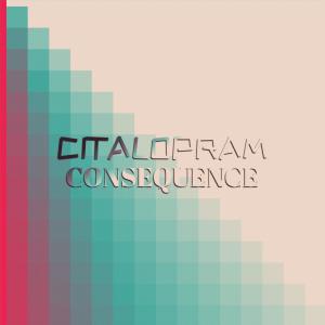 Various Artists的專輯Citalopram Consequence