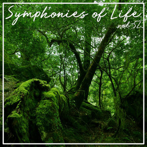 Album Symphonies of Life, Vol. 52 - Beethoven: Missa Solemnis from 