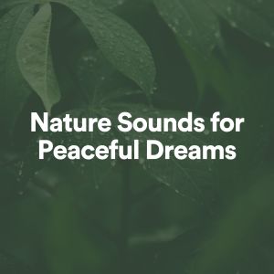 Nature Sounds for Peaceful Dreams